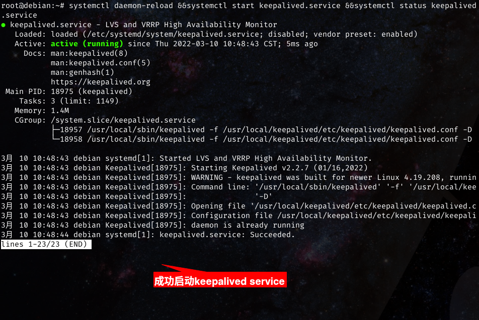 成功启动keepalived.service