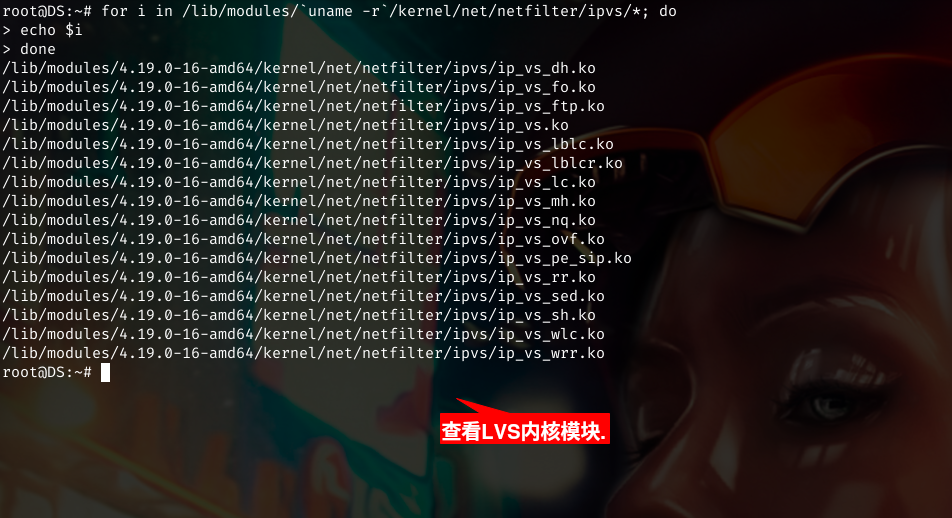 查看本机LVS内核模块