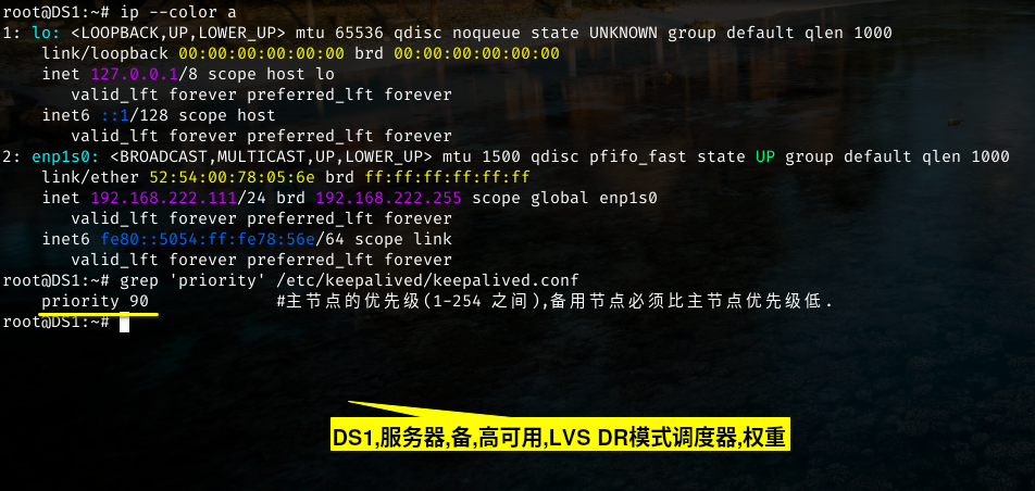 DS1备用调度器,及其权重