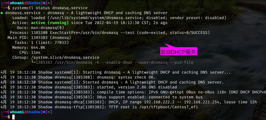 DHCP服务启动状态