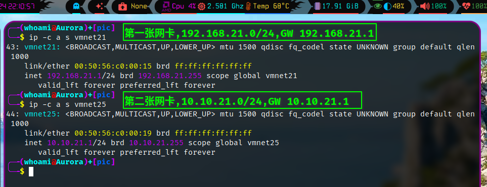 查看2個虛擬網卡的ip地址信息