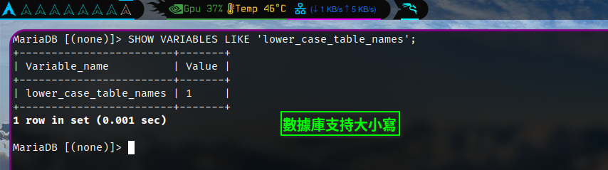 數據庫支持大小寫