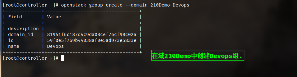 在域210Demo中创建Devops组.
