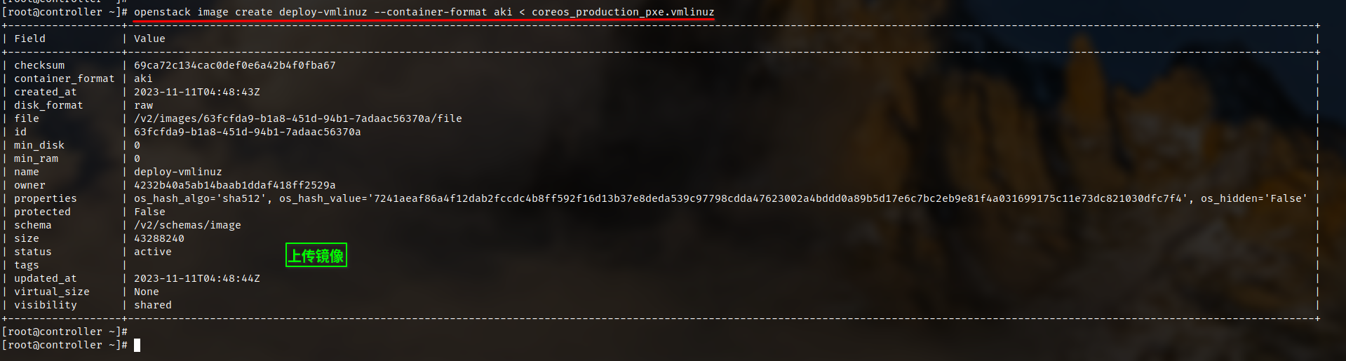 上传coreos_production_pxe.vmlinuz镜像